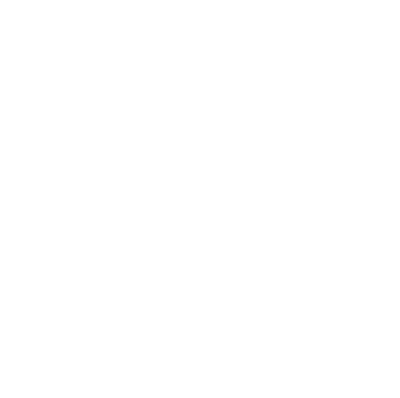 KiteAndWingTeamGermany logo